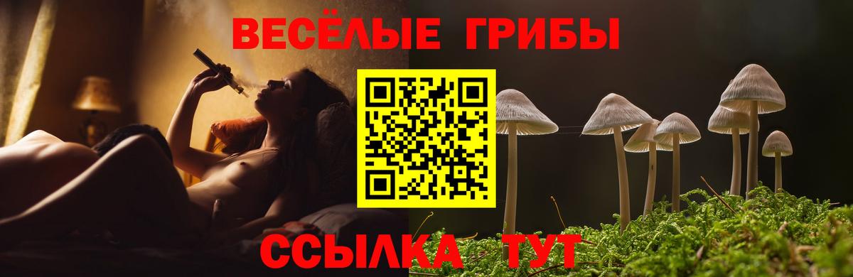 Сочи  Галлюциногенные грибы ЛСД  Вход с VPN 